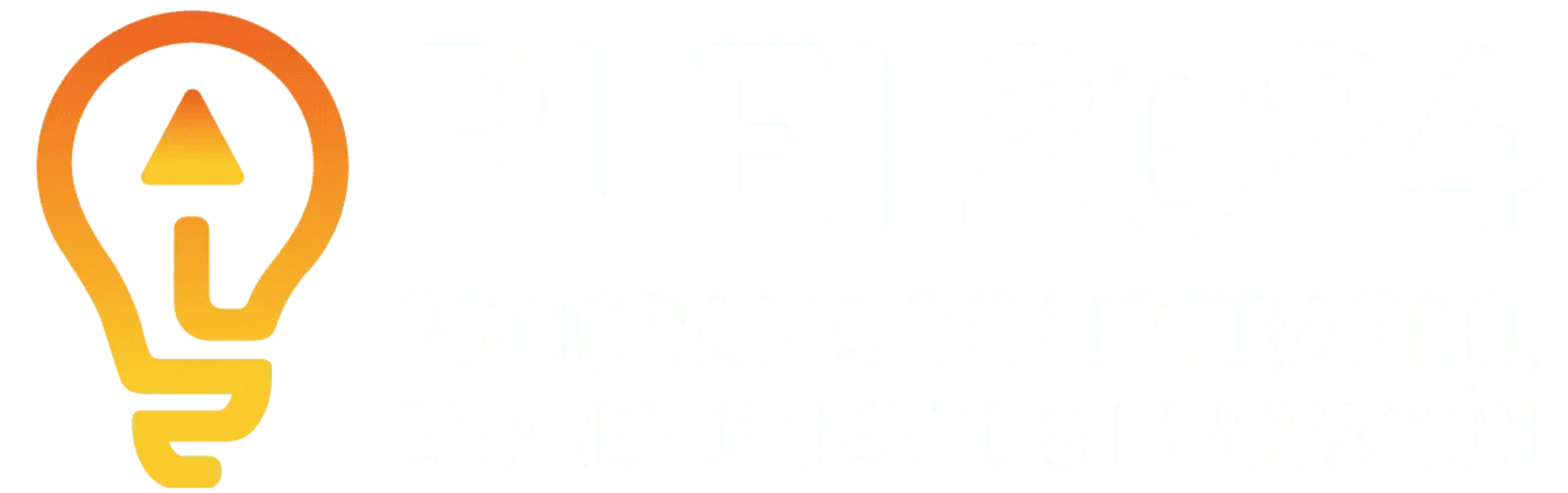Logo Plei 2024