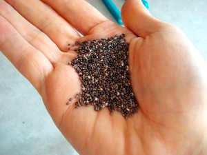 A las semillas de chía se le atribuyen dos veces la proteína de cualquier otra semilla. Fuente: El Diario