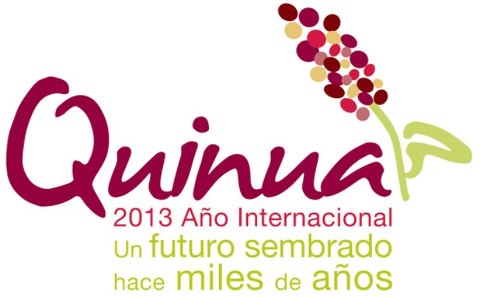 quinoa 2013