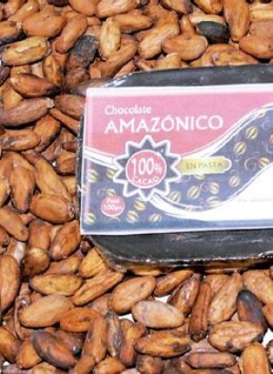cacao boliviano