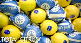 limones-totai-citrus